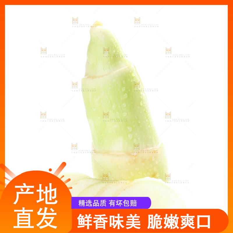 白底上的茭白