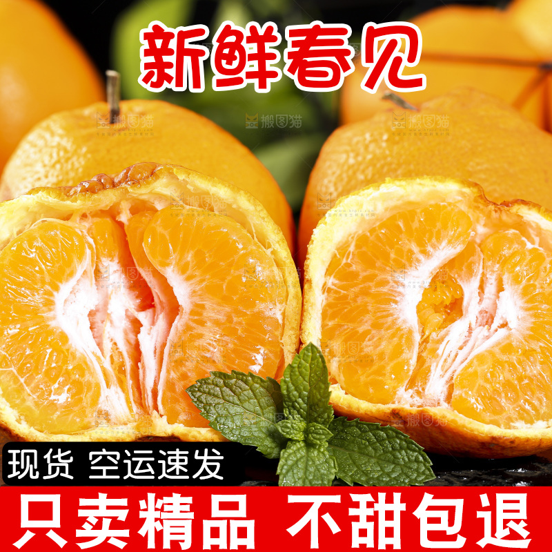 石板上摆放着四川春见耙耙柑