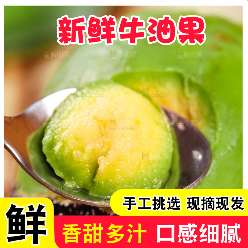 浅底上的巨无霸牛油果