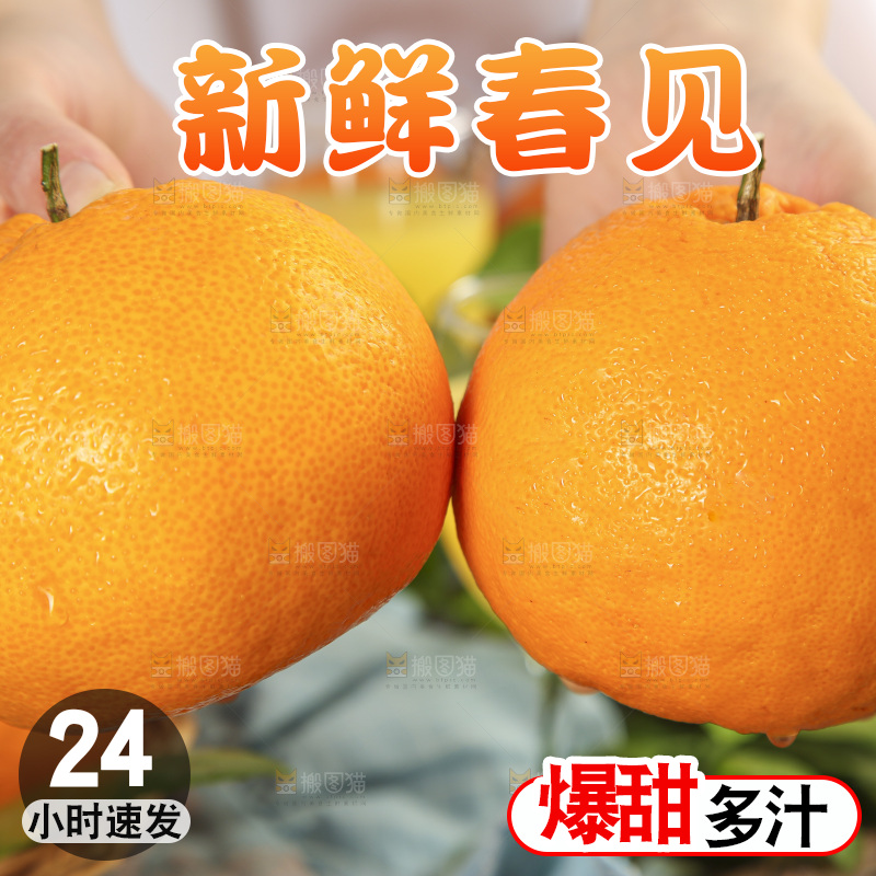 手里拿着四川耙耙柑