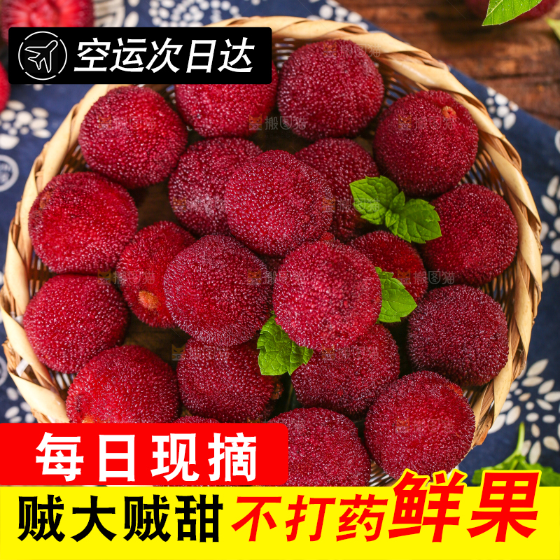 深底上放着余姚杨梅