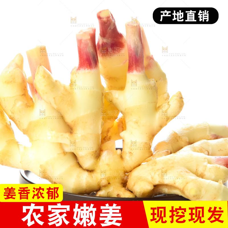 白底上的红芽嫩姜