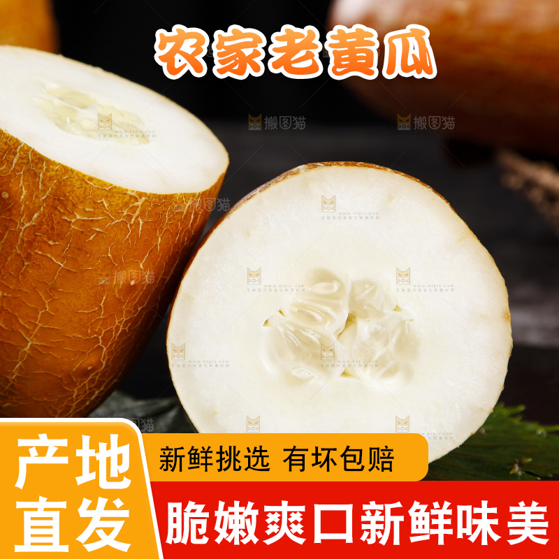 深底上的老黄瓜
