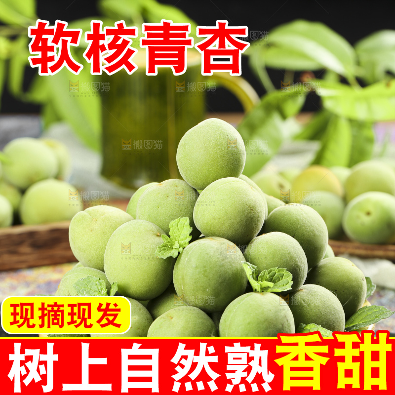 篮子里装着沂蒙山青杏