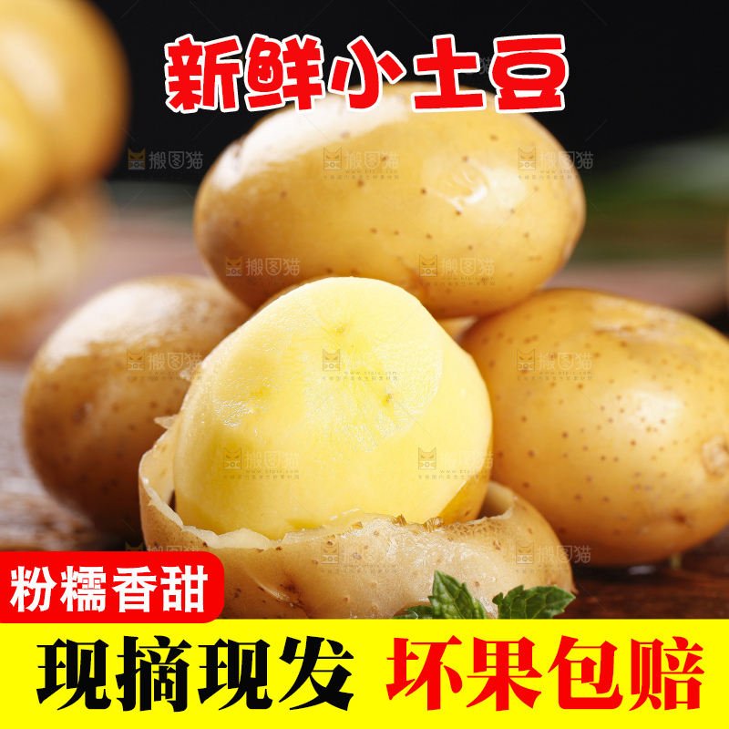 深底上的宜昌小土豆