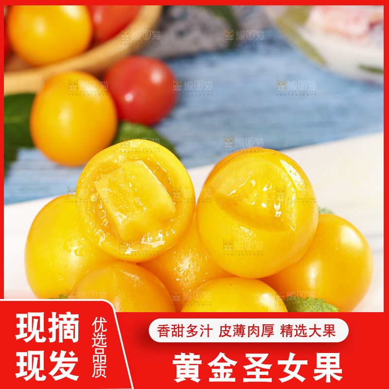 白底上摆放着山东黄金小番茄