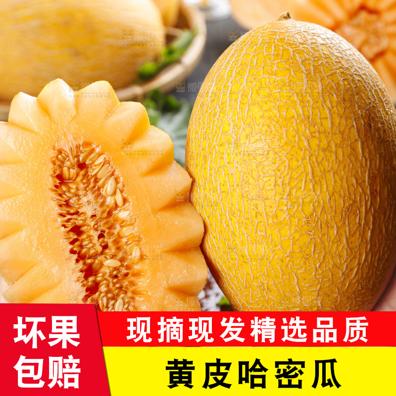 手里拿着黄皮哈密瓜