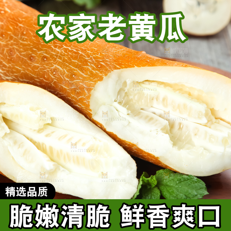深底上放着老黄瓜