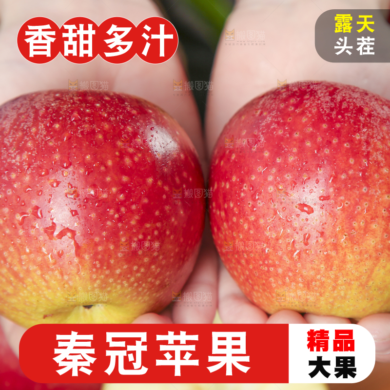 手里拿着陕西秦冠苹果