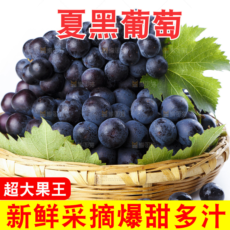 篮子里的夏黑无籽葡萄