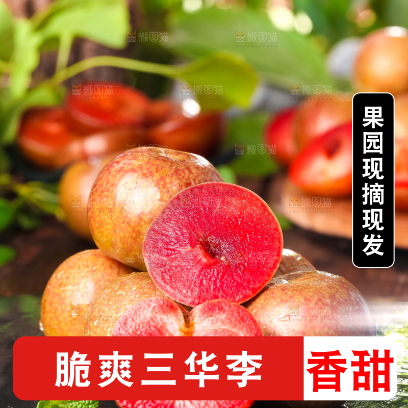 黑底上放着红心三华李