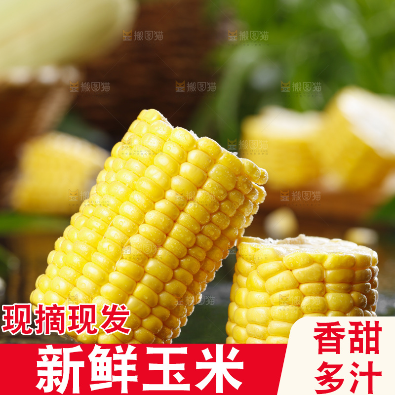 黑石板上的东北玉米