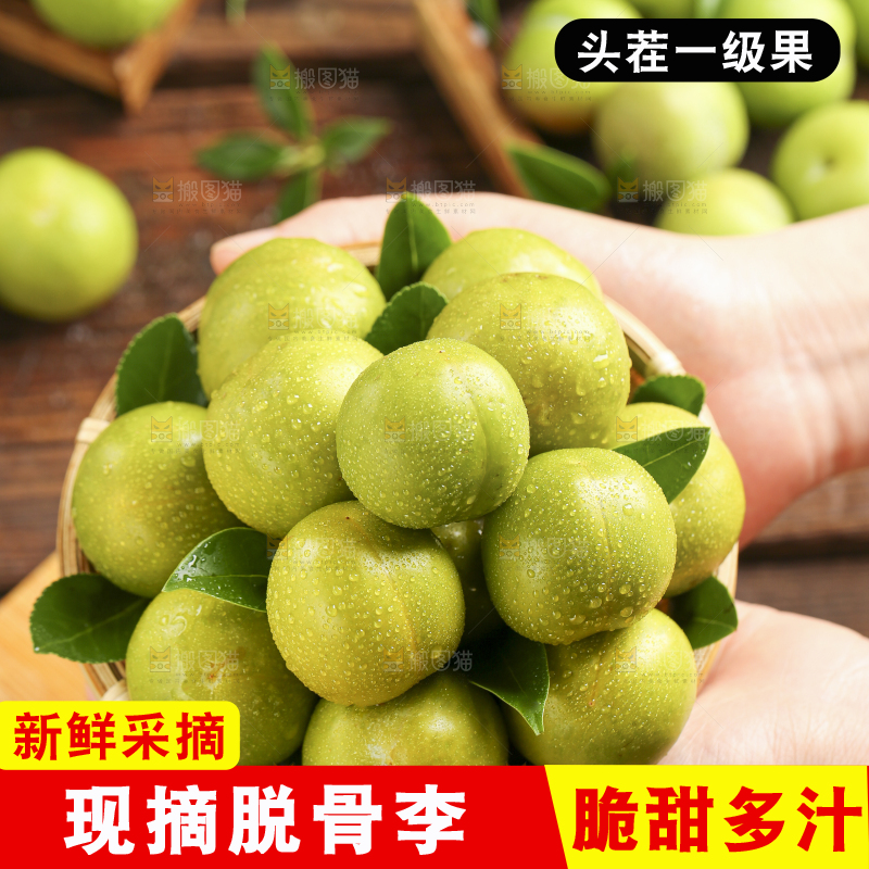 手里捧着脱骨李