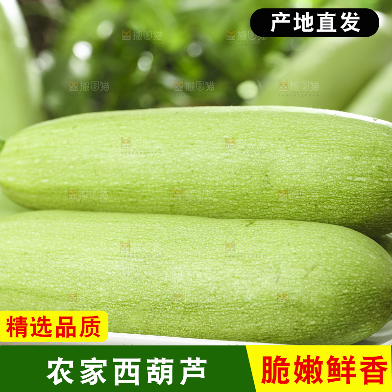 盘子里装着西葫芦瓜