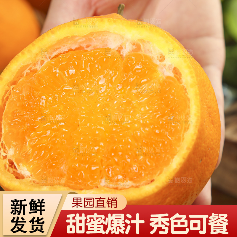 手里拿着四川耙耙柑