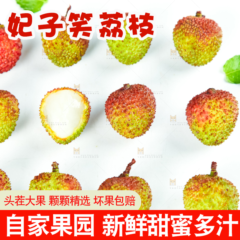 白底上摆放着海南妃子笑荔枝