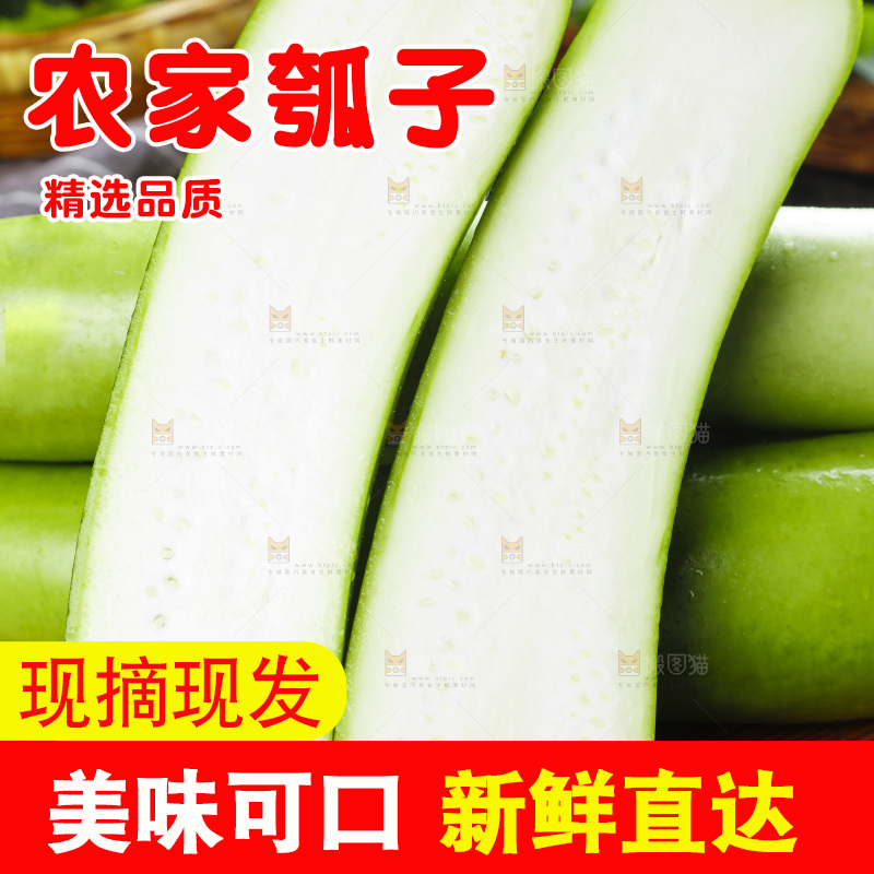 木底上放着瓠子