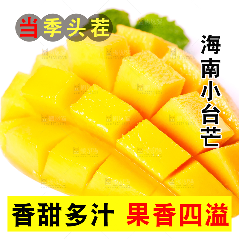 白底上摆放着小台农芒果