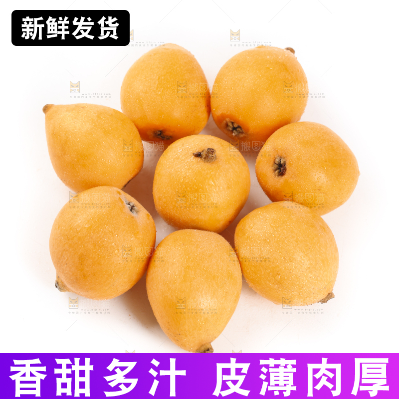白底上摆放着枇杷
