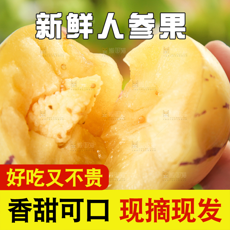 手里拿着人参圆果