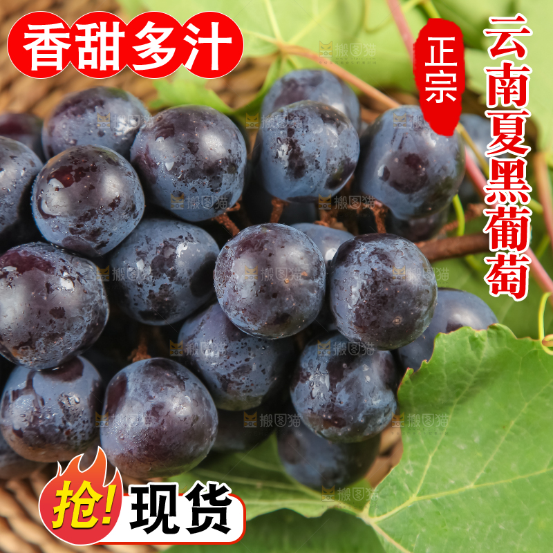 垫子上的云南夏黑无籽葡萄