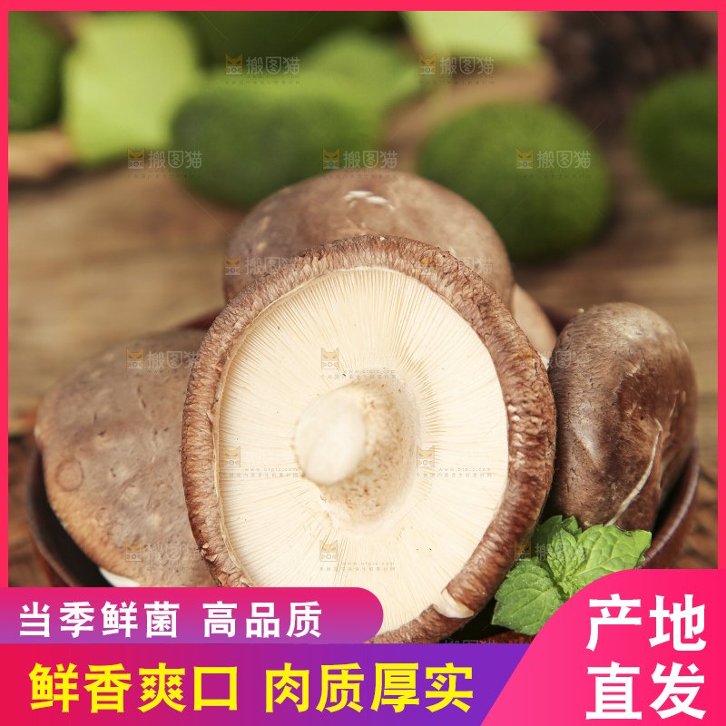 碟子里放着新鲜香菇