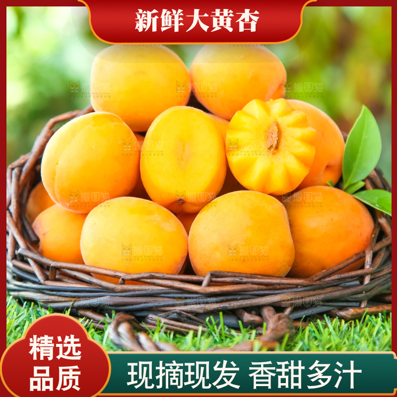 草地上放着黄杏
