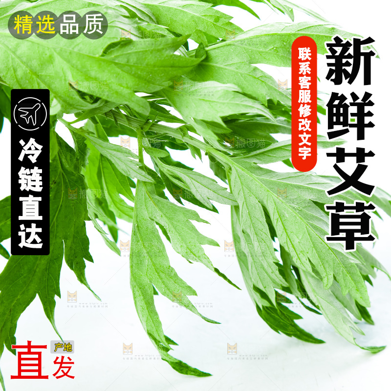 白底上放着艾草叶