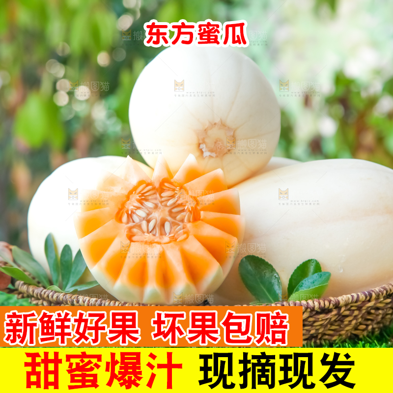 手里端着一篮蜜瓜