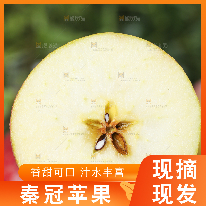 手里拿着秦冠苹果
