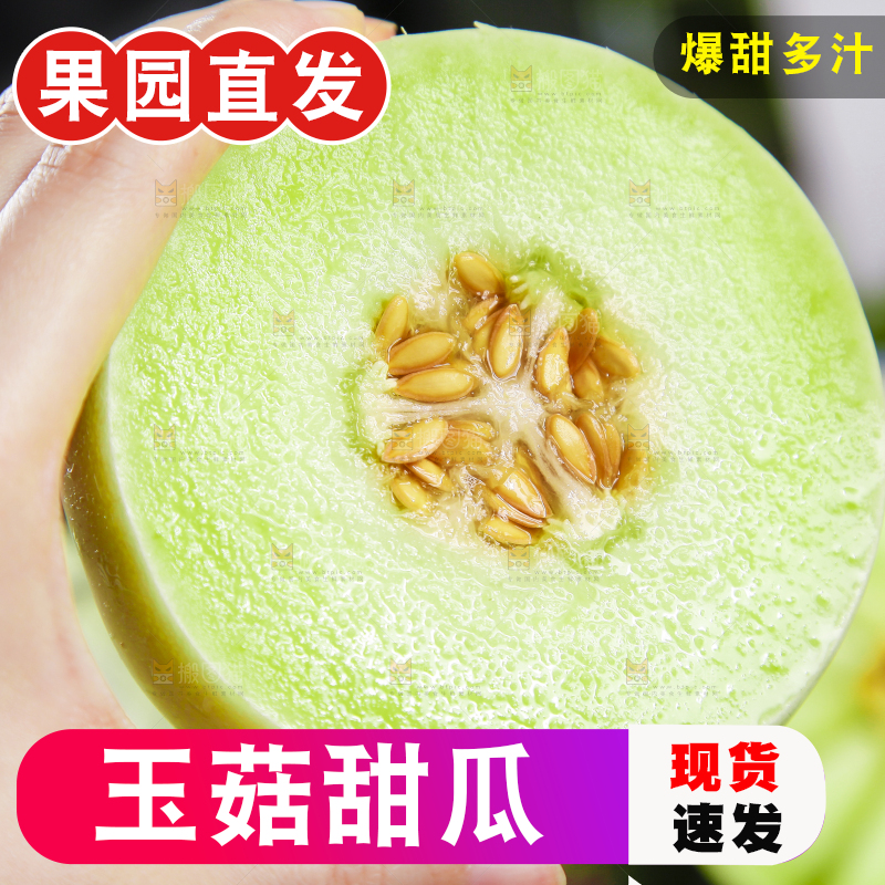 手里拿着玉菇香瓜