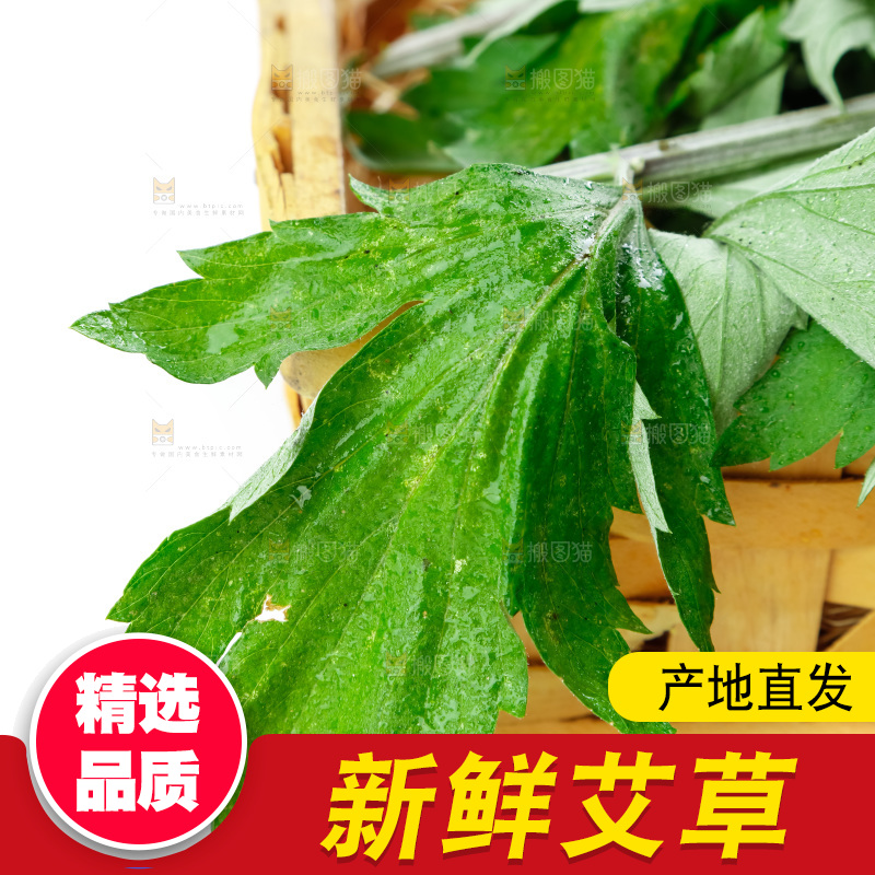篮子里装着艾草