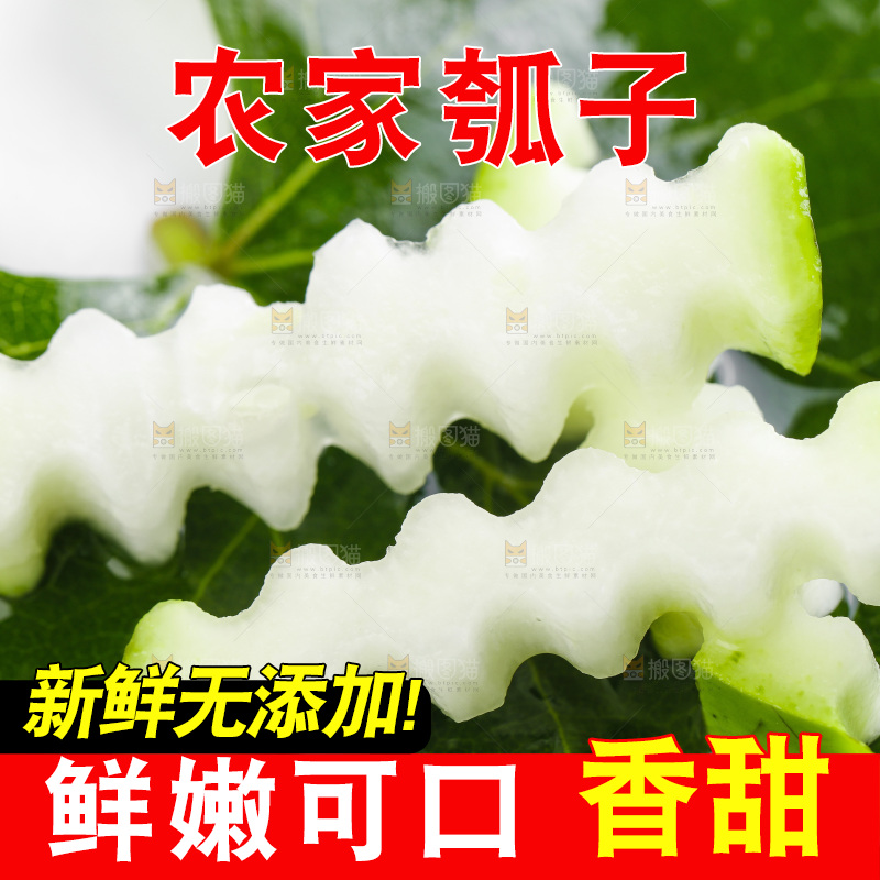 绿叶上放着切丝的蒲瓜