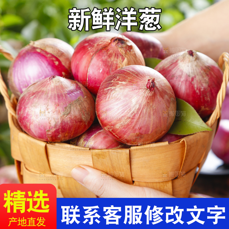 篮子里的新鲜洋葱