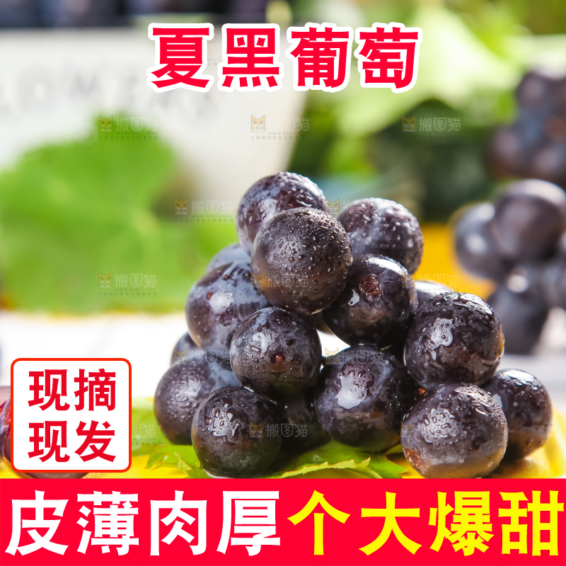 黄底上放着黑加仑葡萄
