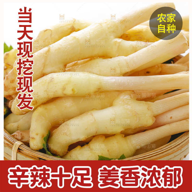 白底上放着一篮子新鲜生姜