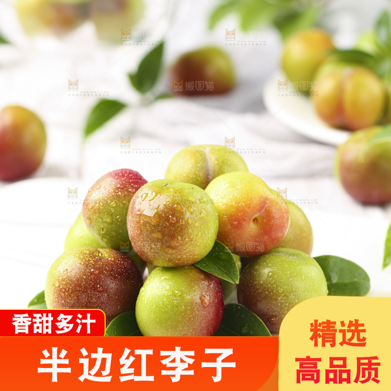 石板上摆放着四川茵红脱骨李