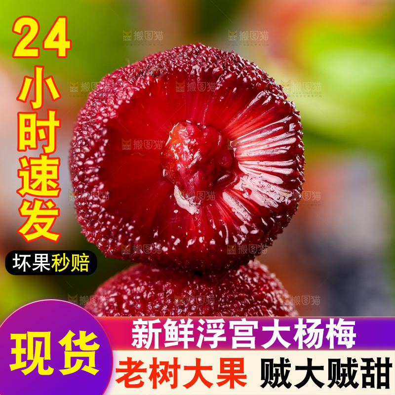 深底上放着余姚杨梅