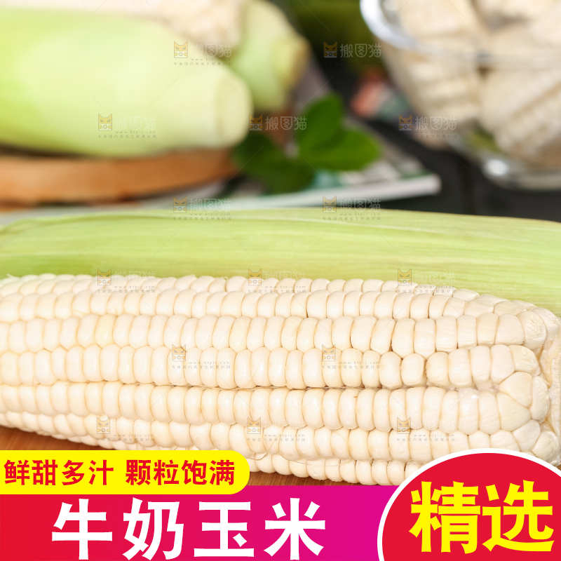 木板上摆放着漳州牛奶玉米