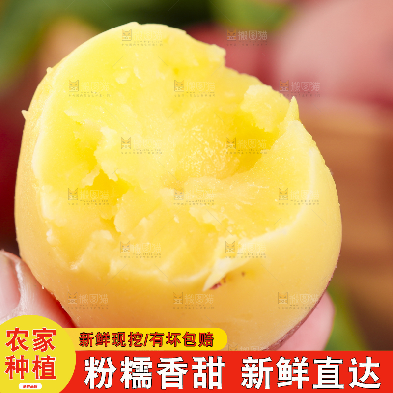 手里拿着红皮土豆
