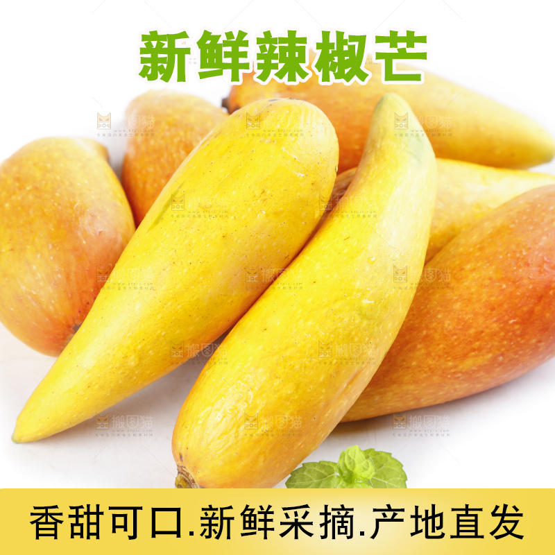 白底上的辣椒芒