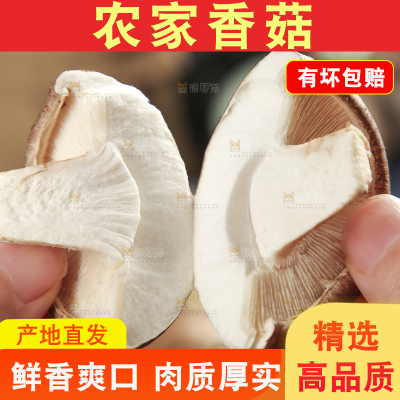 手里拿着蘑菇