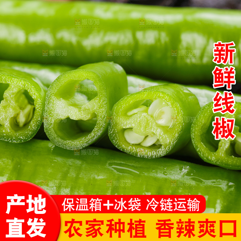 深底上的二荆条辣椒