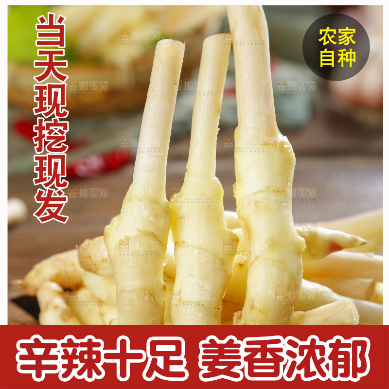 木板上放着四川嫩仔姜