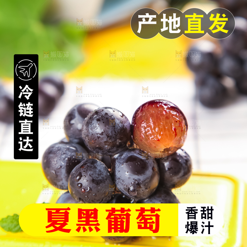 黄底上放着黑加仑葡萄