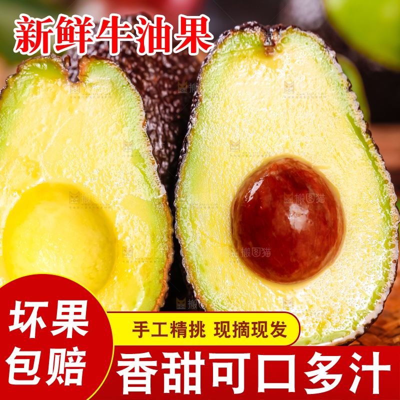 浅底上的巨无霸牛油果