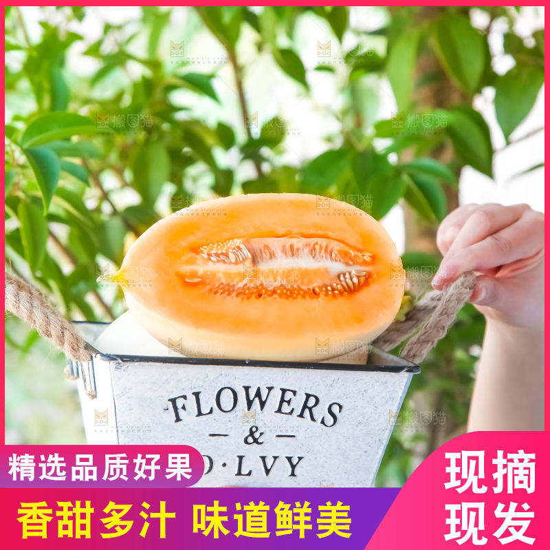 手里提着蜜瓜