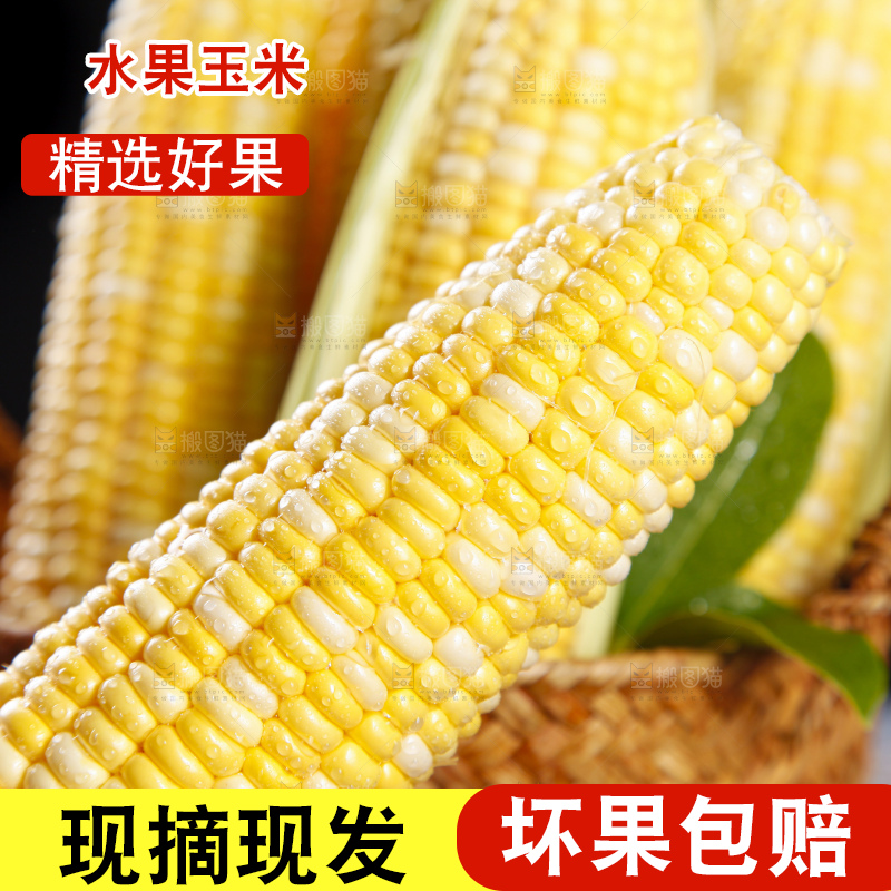 黑底上的云南水果玉米