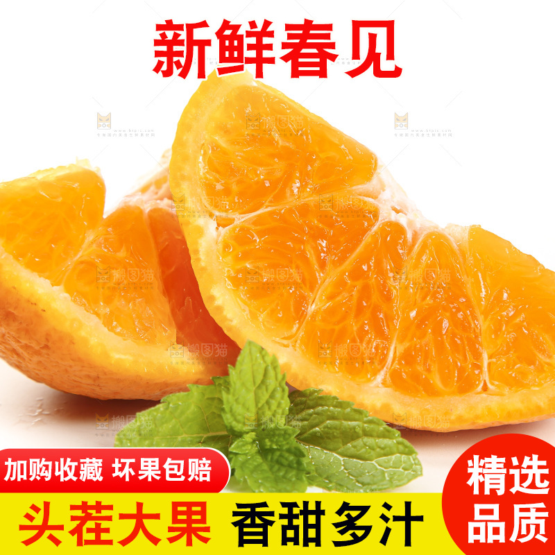 白底上放着一堆春见耙耙柑