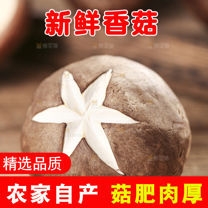 木底上摆放着湖北香菇